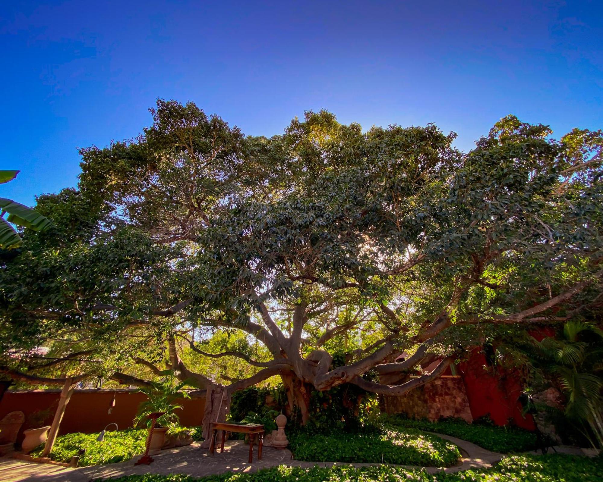 Hacienda de los Santos Álamos Exterior foto
